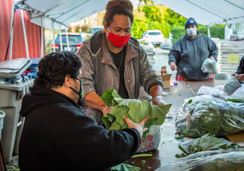 Community Organizations in Snohomish County, WA: Promoting Healthy Living and Wellness